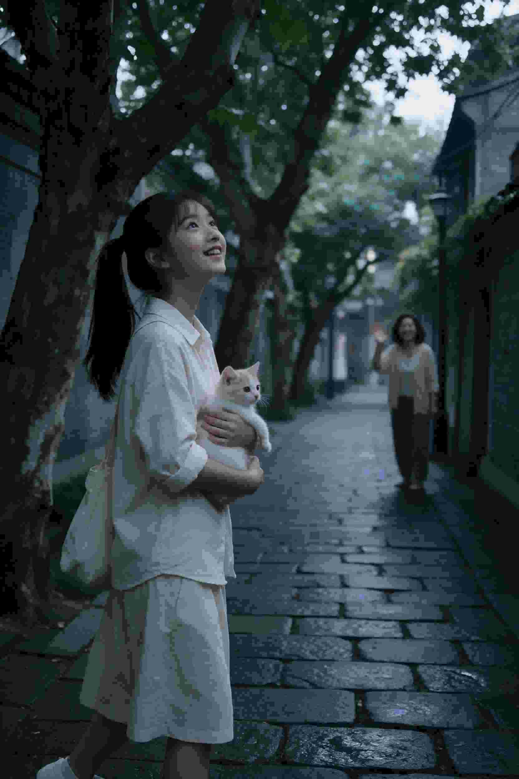 圆梦第二春